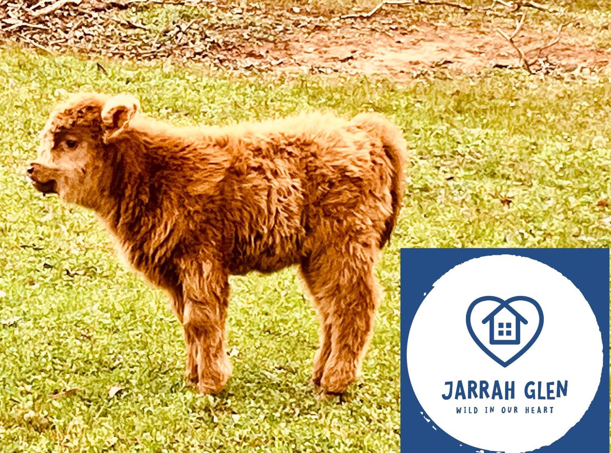 Jarrah Glen Cabins Nannup Zewnętrze zdjęcie