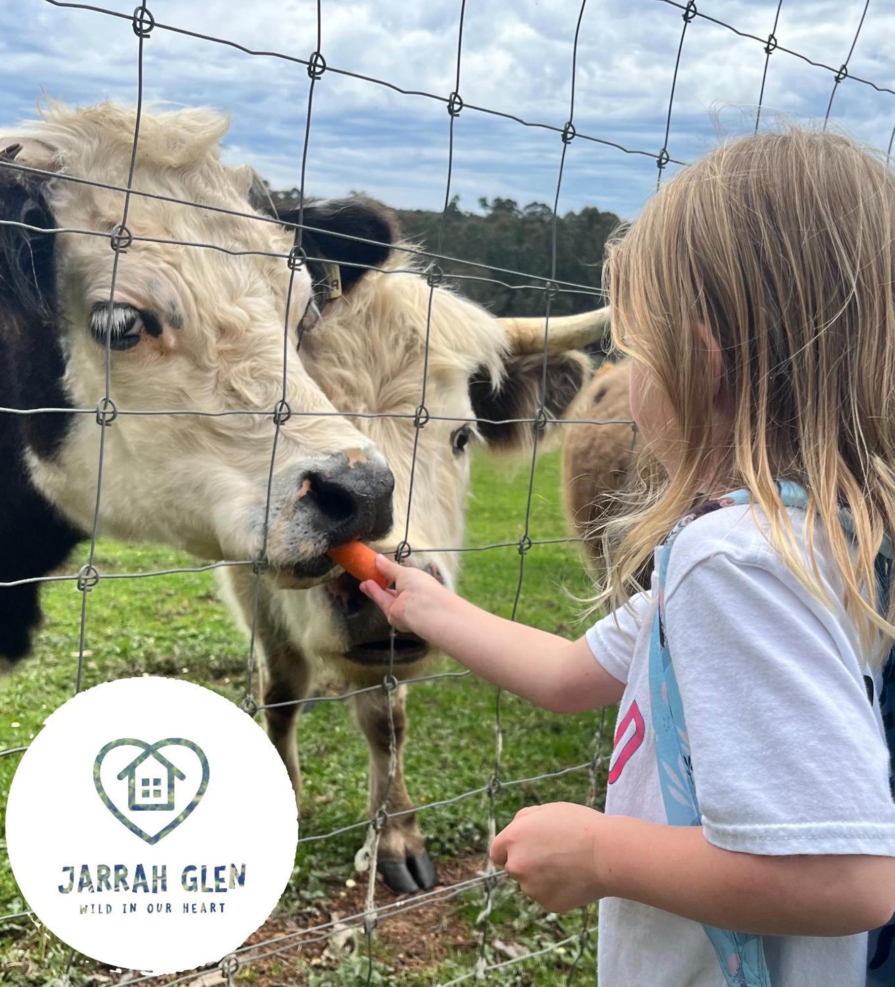 Jarrah Glen Cabins Nannup Zewnętrze zdjęcie
