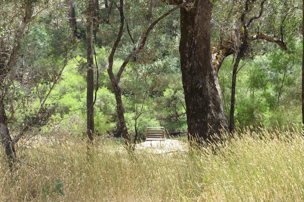 Jarrah Glen Cabins Nannup Pokój zdjęcie