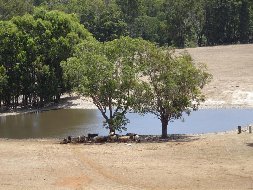 Jarrah Glen Cabins Nannup Zewnętrze zdjęcie
