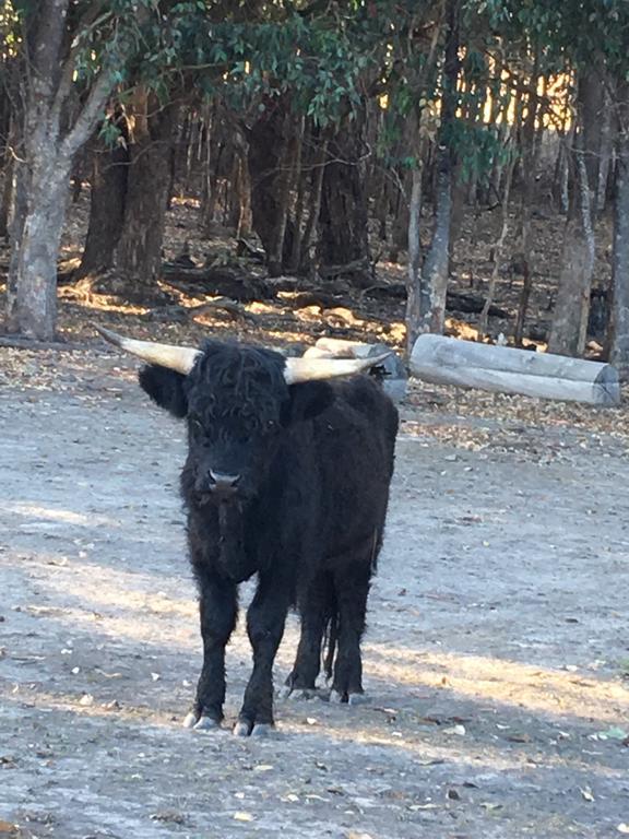 Jarrah Glen Cabins Nannup Zewnętrze zdjęcie